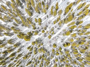 709/710 Texas Dr, Idaho Springs, CO 80452