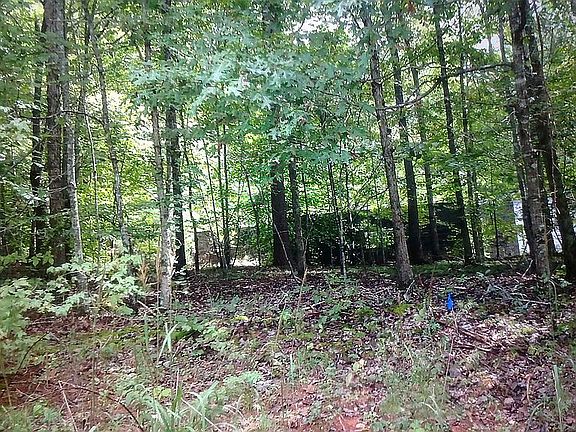 4th image of 253 Mallard Dr
