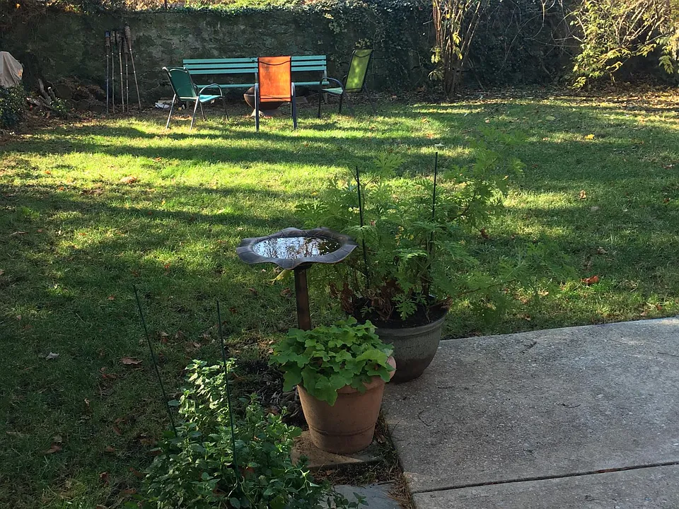 Shared backyard. Great for grilling and enjoying warm sunny days.