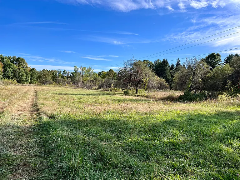1481 E Rose Center Rd — Photo 10