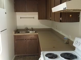 135 W 11th St #203, Silverthorne, CO 80498
