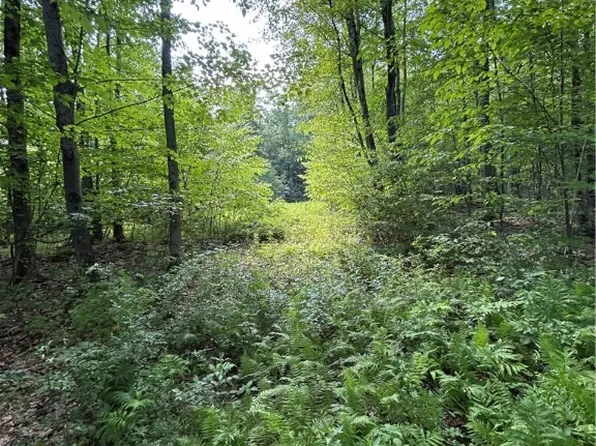 172 Aurora Dr #17, Norwich, NY 13815