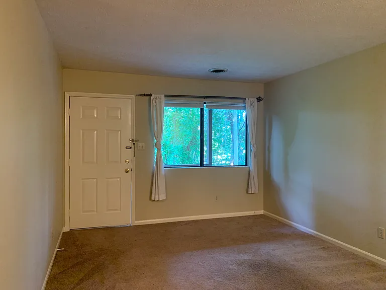 217 Bear Creek Rd — Photo 15
