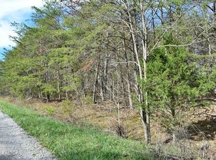 Lots 9 13 Russell Dr, Spring City, TN 37381