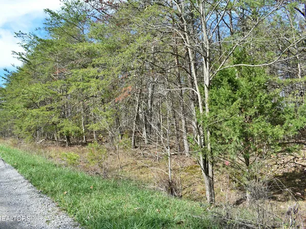 Lots 9 13 Russell Dr, Spring City, TN 37381