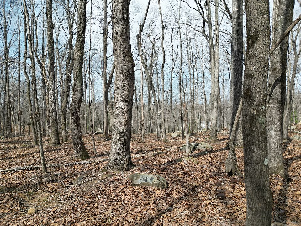 1st image of 367 Rocky Cove Ln