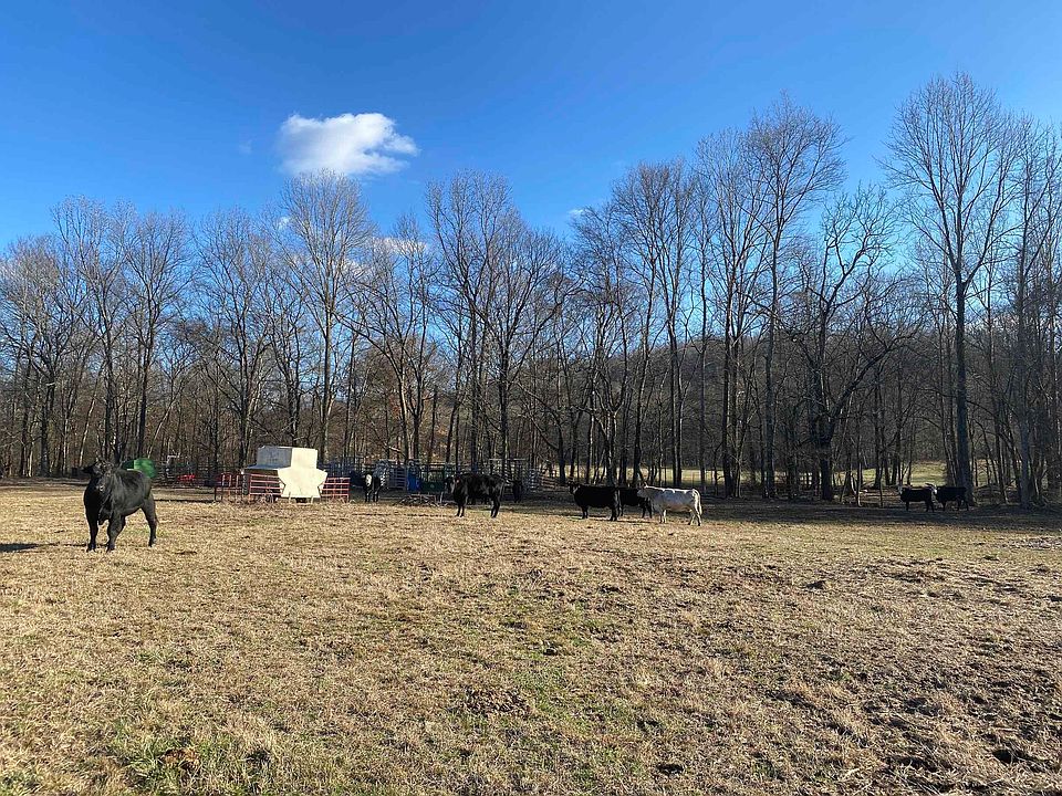 2140 Bear Creek Rd, Collinwood, TN 38450 MLS 10141215 Zillow