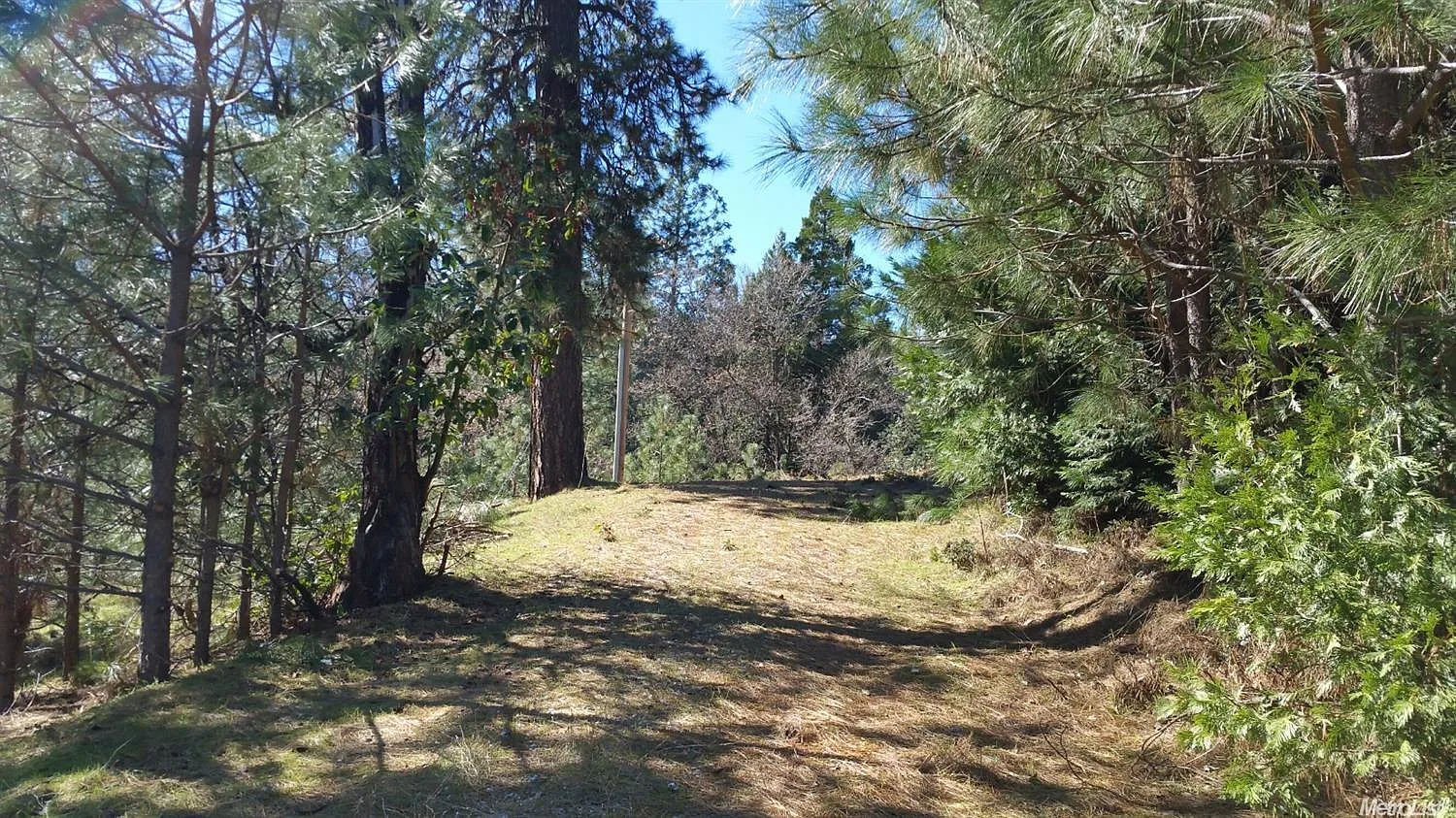 16250 Stephanie Way photo 1