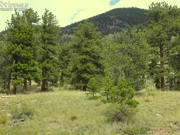 Highway 24, Hartsel, CO 80449
