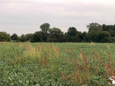 0 W Erie Rd, Temperance, MI, 48182