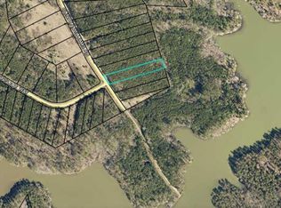 1066 Clint Williams Rd, Lincolnton, GA 30817