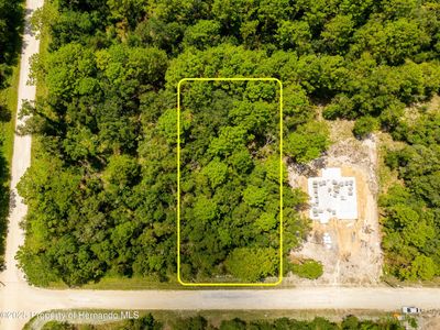 13304 Canada Goose Rd, Weeki Wachee, FL, 34614