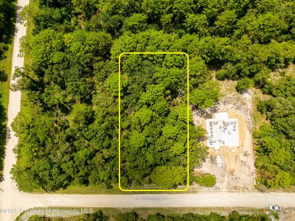 13304 Canada Goose Rd, Weeki Wachee, FL 34614