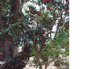 308 Bradley Point Rd, Savannah, GA 31410