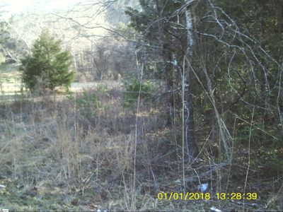 LOT Four Dalton Rd, Marietta, SC, 29661