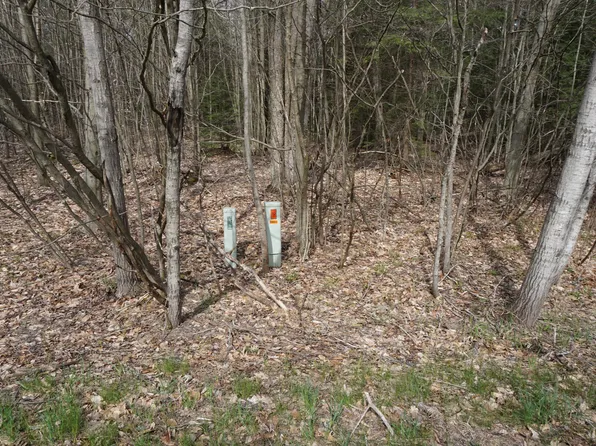 E South Ave #164, Hesperia, MI 49421