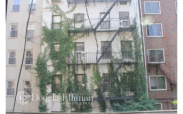 Rented by Douglas Elliman | media 6