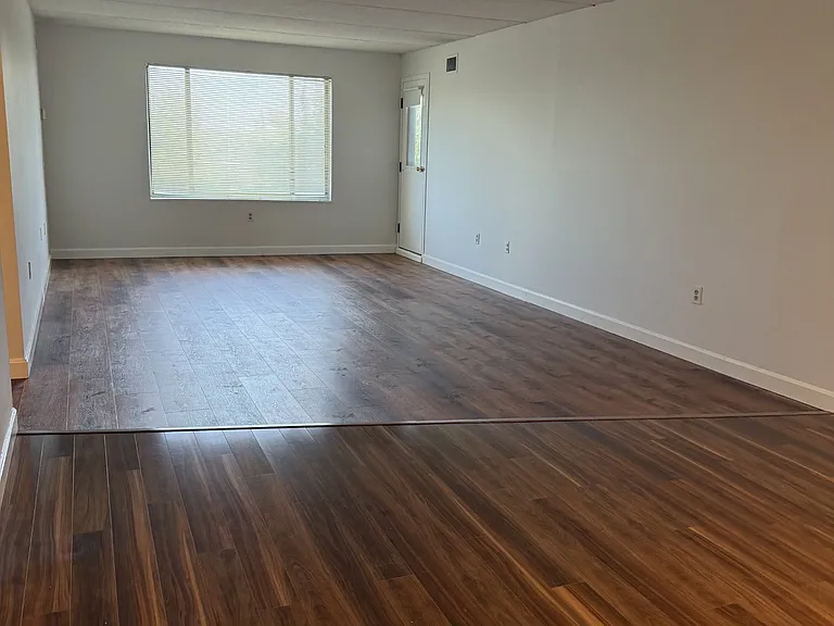 Open plan - living room/dining room combo