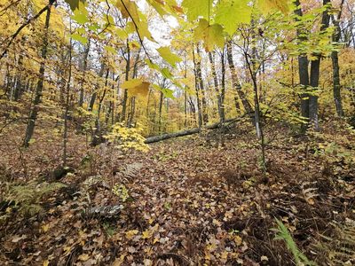 26 Westward Ho, Garrison, MN, 56450