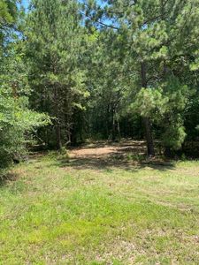 8233 Quarter Horse Ln, Waller, TX, 77484