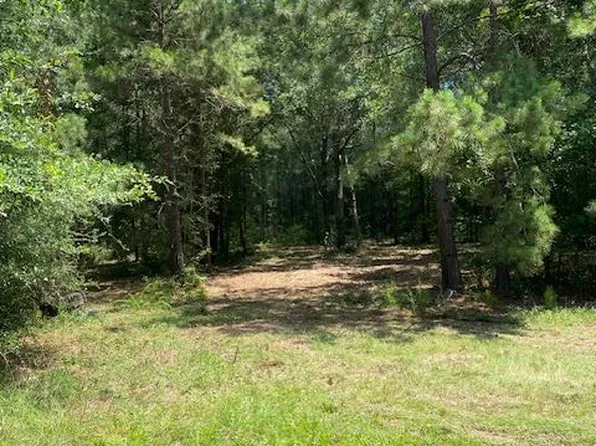 8233 Quarter Horse Ln, Waller, TX 77484