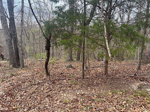 3rd image of Cunningham Ln #3