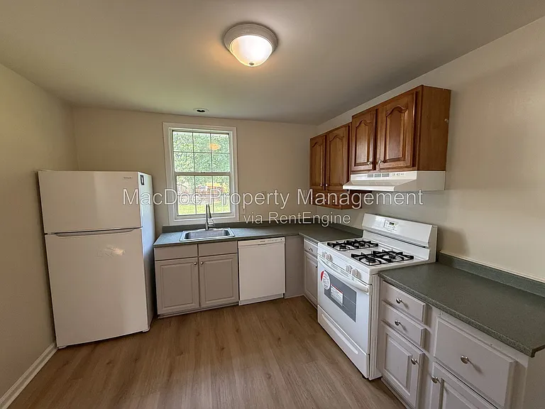 209 Hamilton St #A — Photo 10