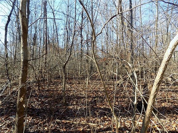 2nd image of 7440 Rainbow Lane North