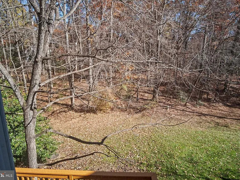 1602 Oak Spring Way — Photo 31