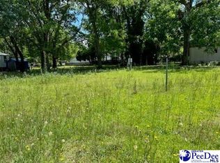 Pine St, Darlington, SC 29532