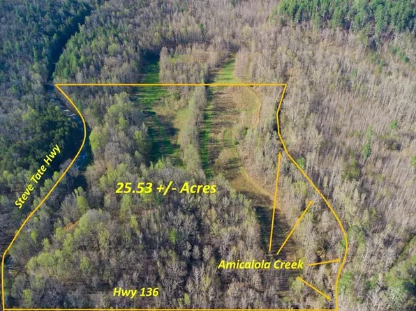 9031 Steve Tate Hwy #165, Dawsonville, GA 30534