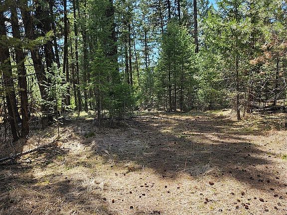 4th image of 168 Prior Loop Road