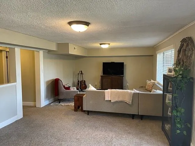 Opposite Side of Lower Level Living Space very Cozy lots of options for Game Room