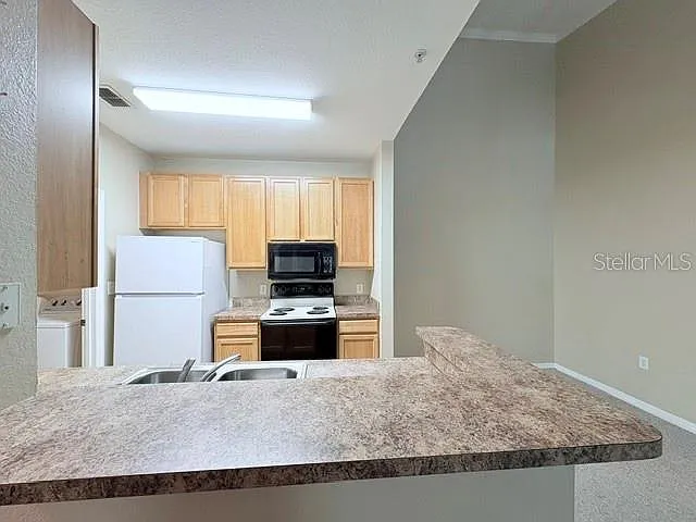 10213 Courtney Palms Blvd #301 — Photo 7