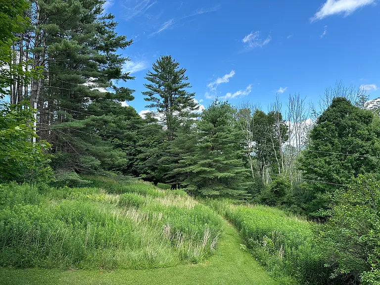 View behind house
