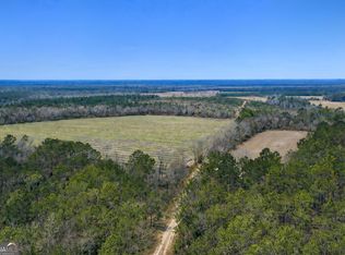 3 Reddish Rd, Odum, GA 31555