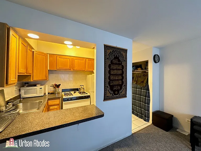 6830 N Sheridan Rd #305 — Photo 14