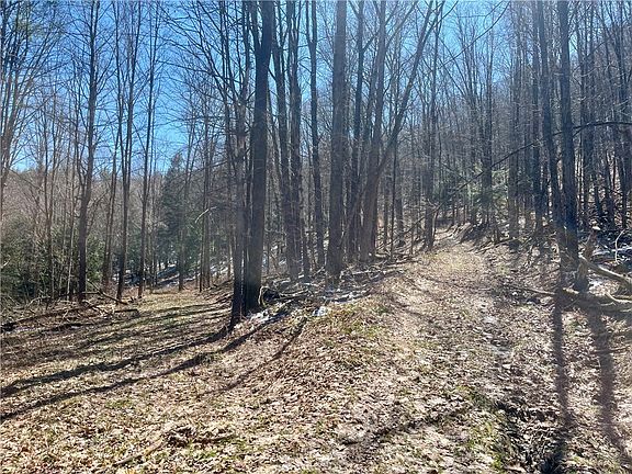 2nd image of Chlorinator Rd Lot 31