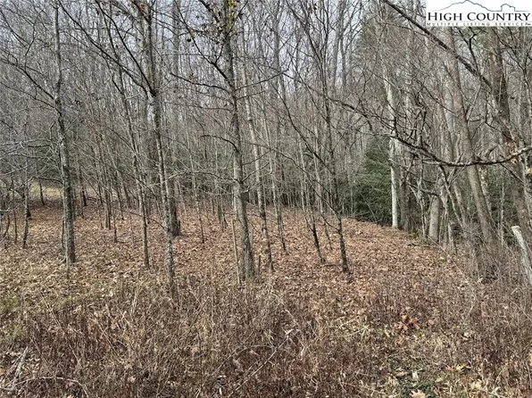 TBD Bald Mountain Road, West Jefferson, NC 28694
