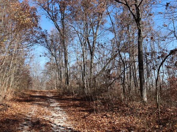 1 Strawberry Dr, Springville, IN 47462