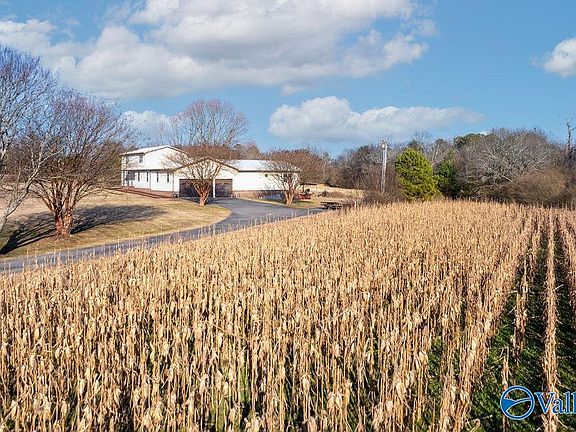 4th image of 374 County Road 603