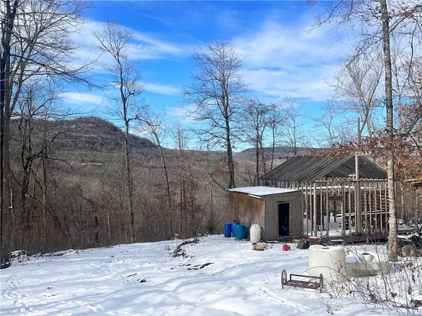 (undisclosed Address), Jasper, AR 72641