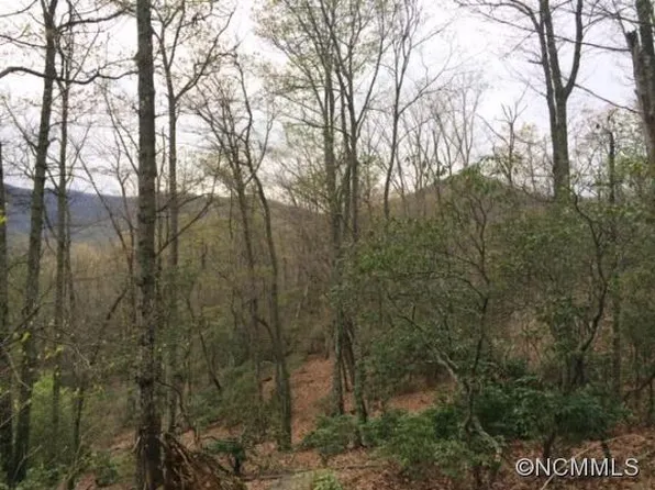 72 Smokey Ridge Trl, Arden, NC 28704