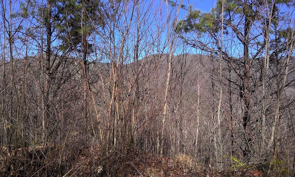 BLACK Forest Dr Bryson City, NC Zillow