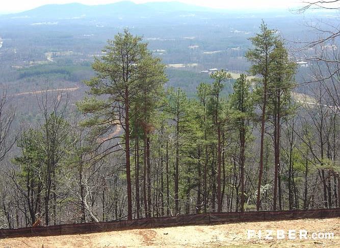 2nd image of 178 Leadpole Mountain Ln