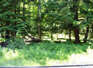 County Road 424, Iron River, MI 49935