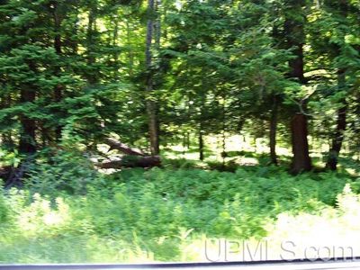 County Road 424, Iron River, MI, 49935
