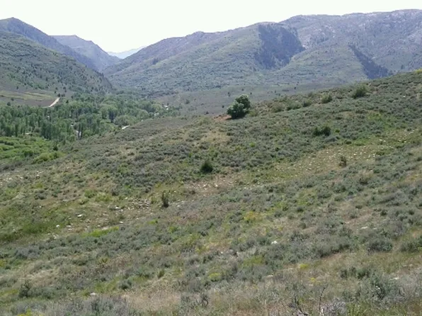 13196 E High Pine Way, Huntsville, UT 84317