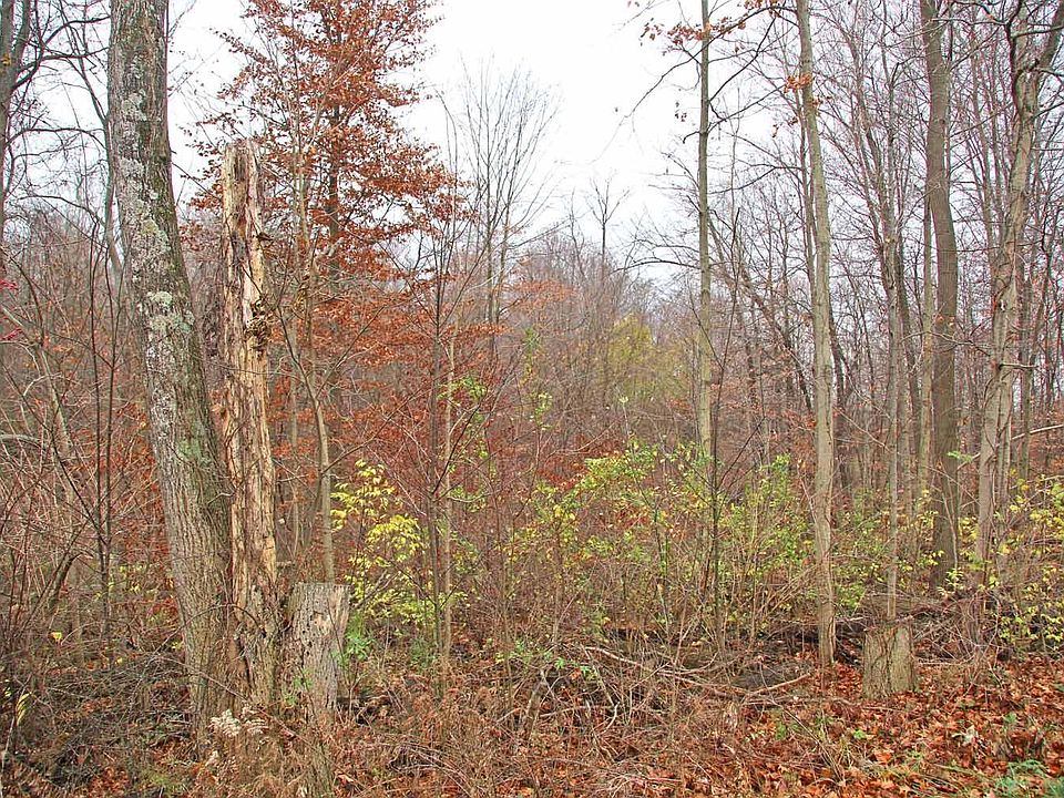 0 Sycamore Rd, Mount Vernon, OH 43050 MLS 222042267 Zillow