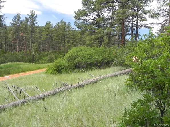 8160 Bannock Dr, Larkspur, CO 80118